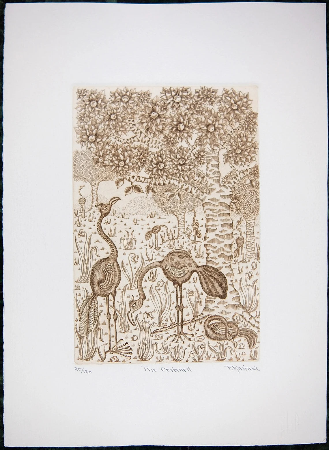 Vintage Etching by Felicity Rainnie 'The Orchard' Pencil Signed Limited Edition 120