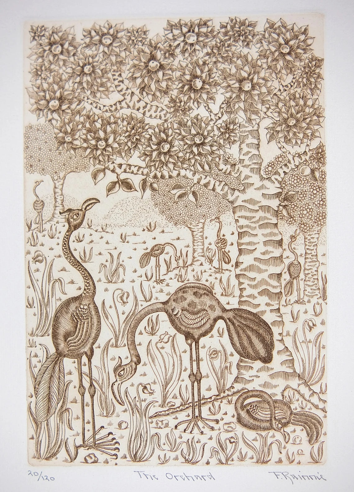 Vintage Etching by Felicity Rainnie 'The Orchard' Pencil Signed Limited Edition 120