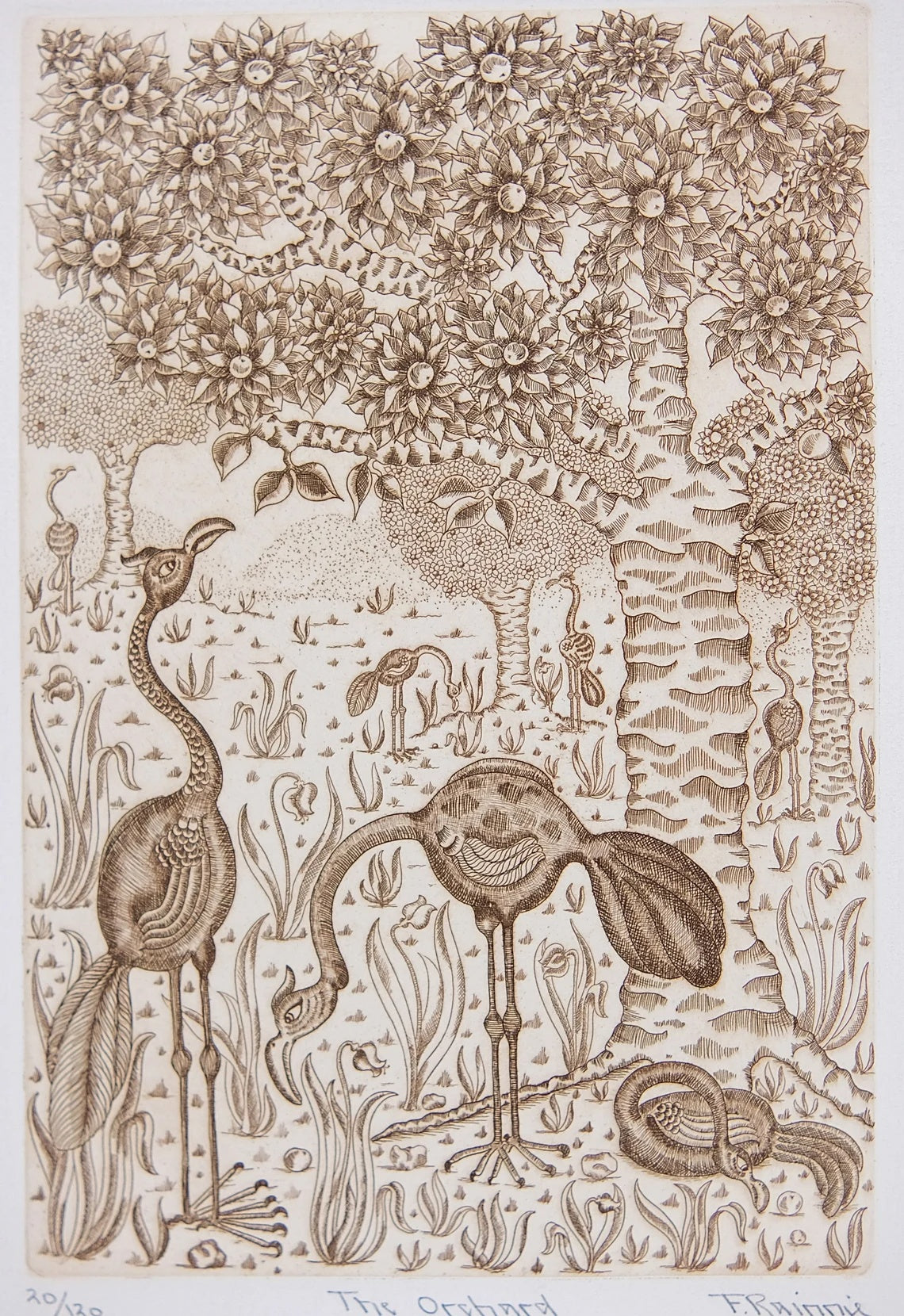 Vintage Etching by Felicity Rainnie 'The Orchard' Pencil Signed Limited Edition 120