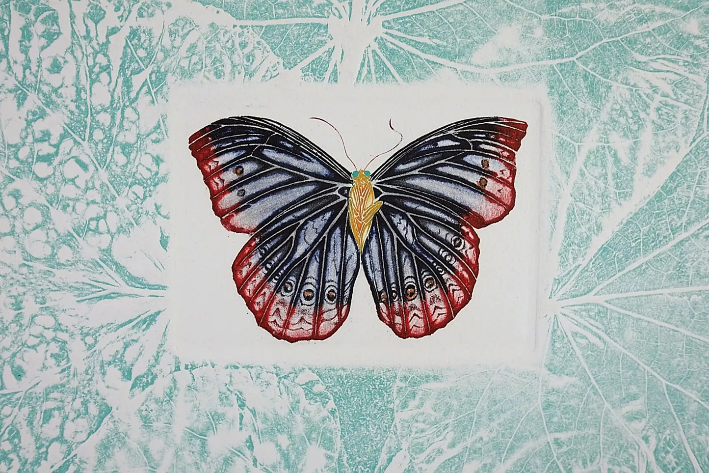 Vintage Three-Dimensional Engraving, Limited Edition 150, Signed by Rimer Cardillo, 'Mariposa Del Coronilla'