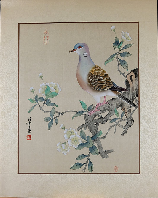 Vintage Asian Painting, Chinese Watercolor on Silk Paper, Wild Pigeon Portrait