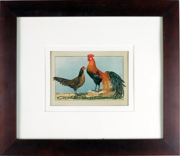 Framed Antique Print C.1800s Hand Colored Lithograph Showing a Pair of Poultry